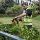 DeWALT DCM563PB dzīvžogu šķēres